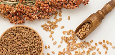 Feed Complex Enzyme For Sorghum Diet