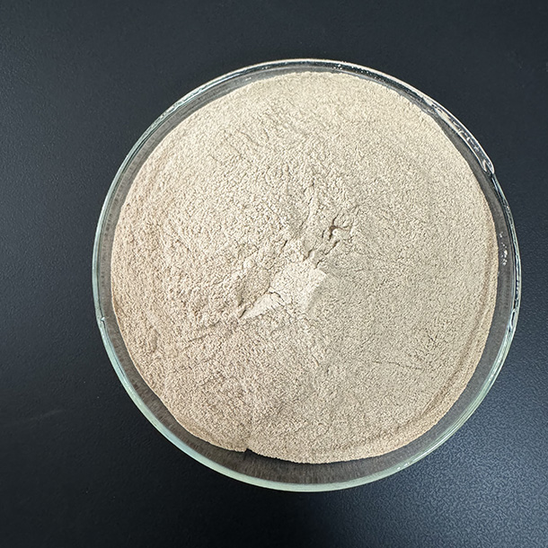 Protease