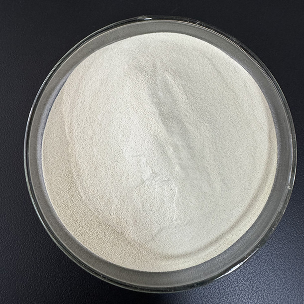 Xylanase