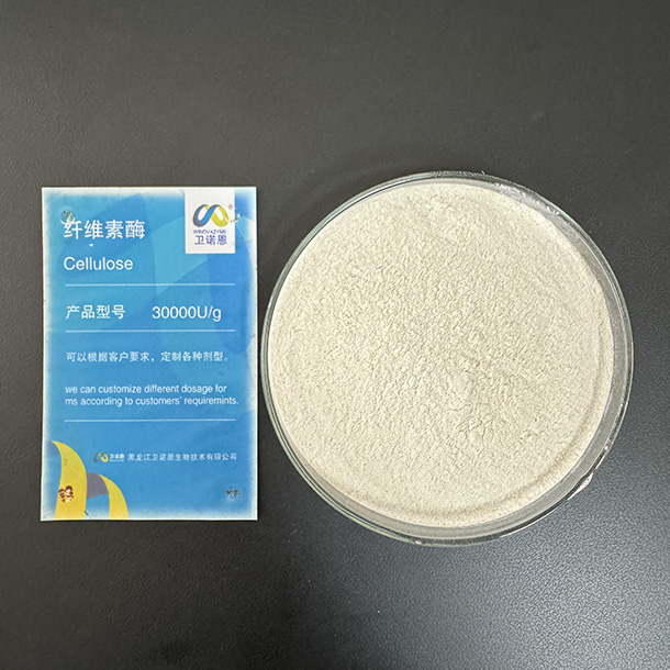 Cellulase