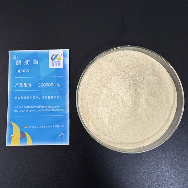 Lipase