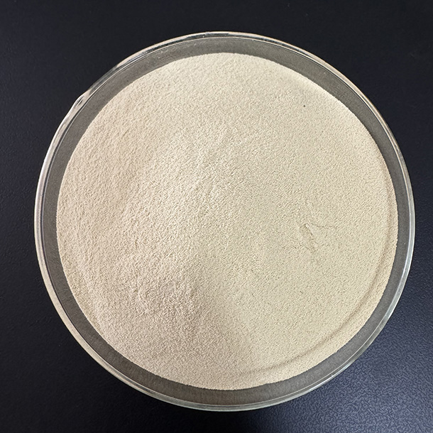 Lipase